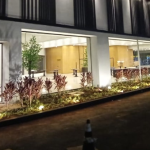 imagem_do_contato_02